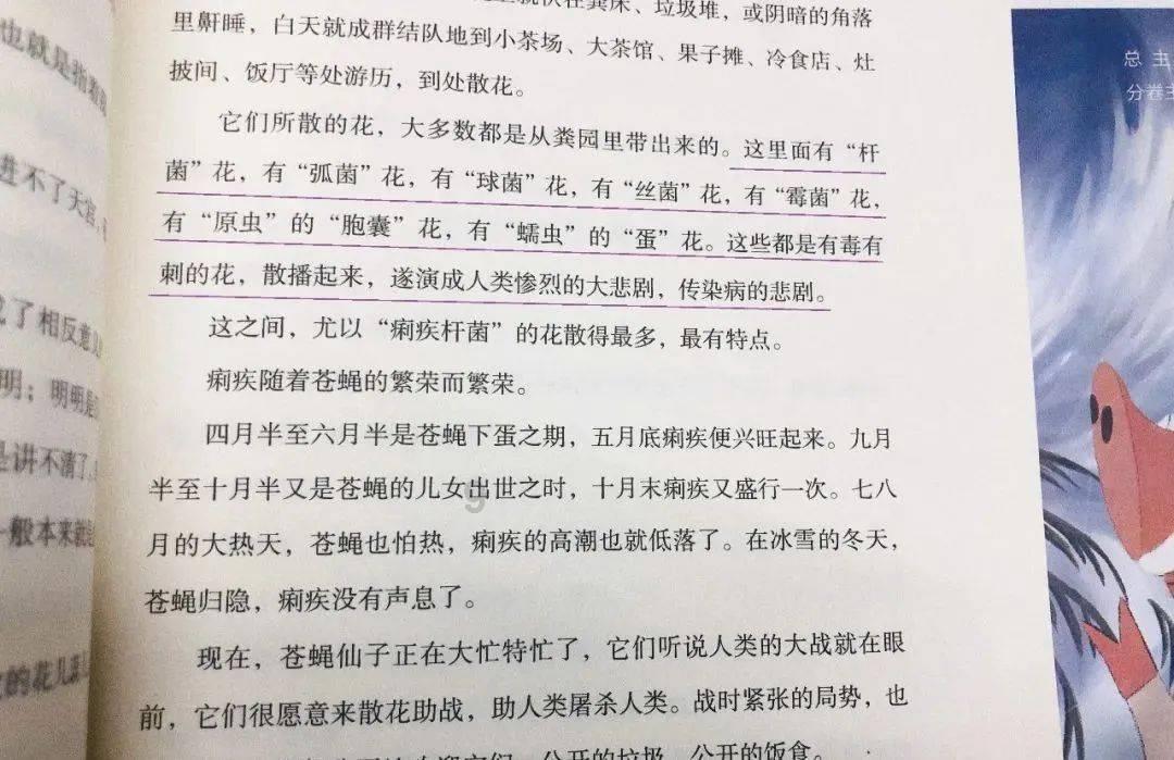奇异人生暴风前夕